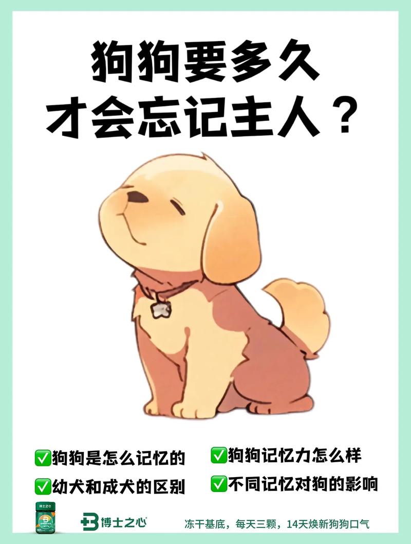  狗狗多久忘记旧主人，狗狗要多久才会忘记以前的主人