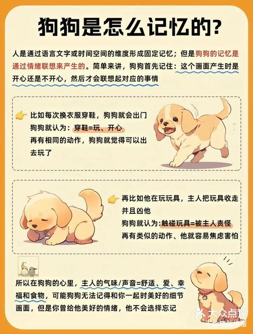 狗狗多久忘记旧主人,狗狗要多久才会忘记以前的主人-第4张图片-后鲨宠物 狗狗多久忘记旧主人,狗狗要多久才会忘记以前的主人-第4张图片-后鲨宠物