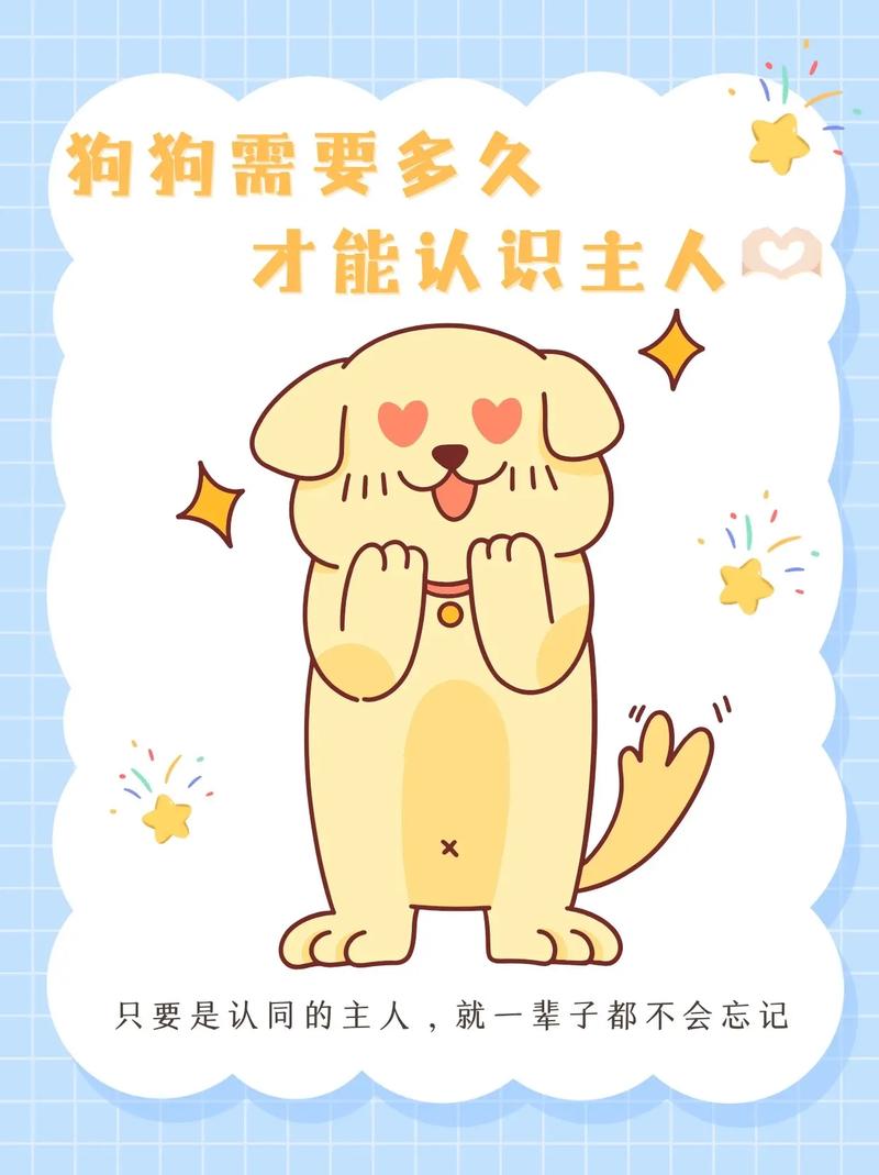 狗狗多久忘记旧主人,狗狗要多久才会忘记以前的主人-第5张图片-后鲨宠物 狗狗多久忘记旧主人,狗狗要多久才会忘记以前的主人-第5张图片-后鲨宠物