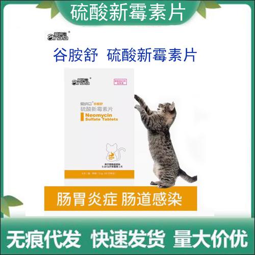 猫咪吃什么都吐怎么办_猫咪吃什么都吐是怎么回事-第6张图片-后鲨宠物 猫咪吃什么都吐怎么办_猫咪吃什么都吐是怎么回事-第6张图片-后鲨宠物
