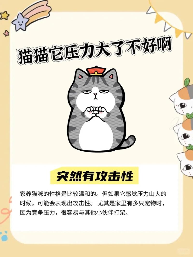  猫咪焦虑的表现，猫咪焦虑的原因及治疗