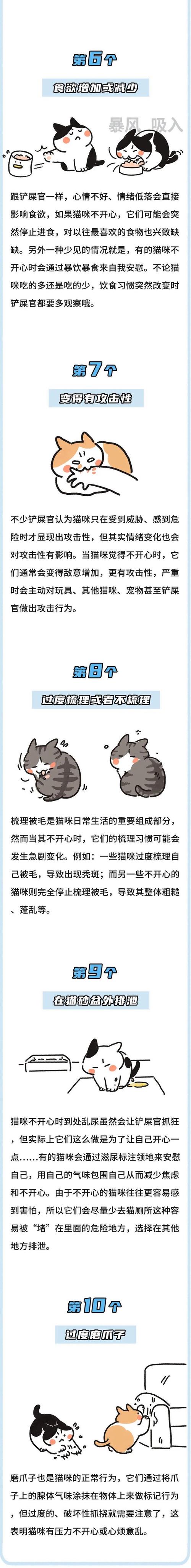 猫咪焦虑的表现,猫咪焦虑的原因及治疗-第4张图片-后鲨宠物 猫咪焦虑的表现,猫咪焦虑的原因及治疗-第4张图片-后鲨宠物