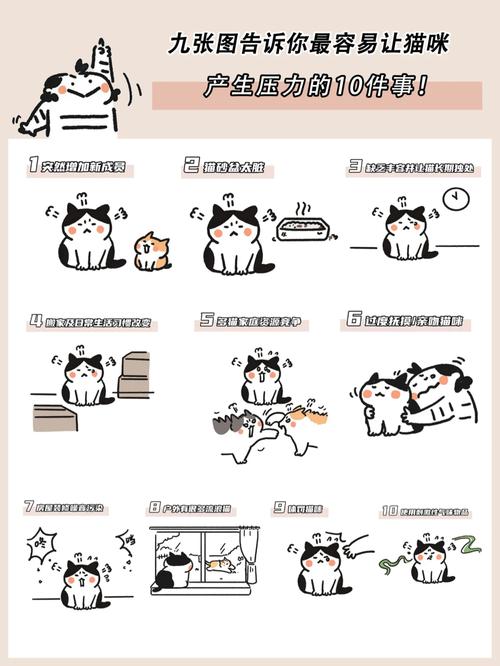 猫咪焦虑的表现,猫咪焦虑的原因及治疗-第5张图片-后鲨宠物 猫咪焦虑的表现,猫咪焦虑的原因及治疗-第5张图片-后鲨宠物