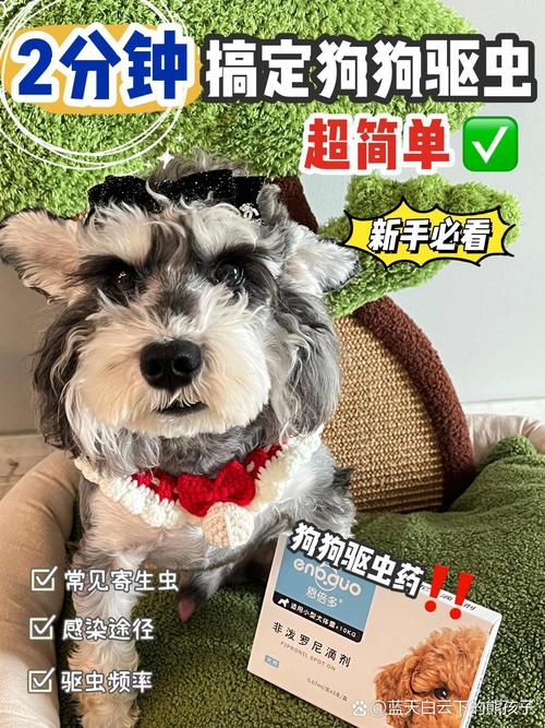 养狗狗怎么预防弓形虫,养狗狗怎么预防弓形虫病毒-第4张图片-后鲨宠物 养狗狗怎么预防弓形虫,养狗狗怎么预防弓形虫病毒-第4张图片-后鲨宠物