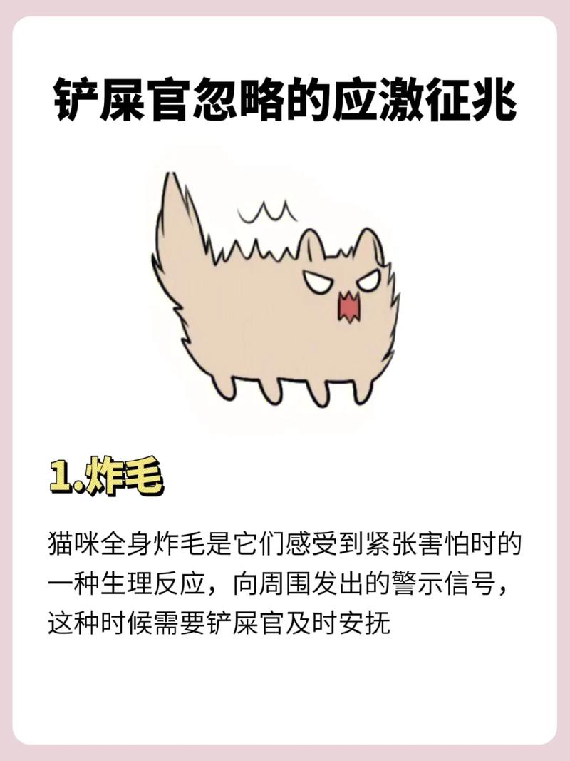 猫咪炸毛是什么意思_猫猫炸毛-第5张图片-后鲨宠物 猫咪炸毛是什么意思_猫猫炸毛-第5张图片-后鲨宠物