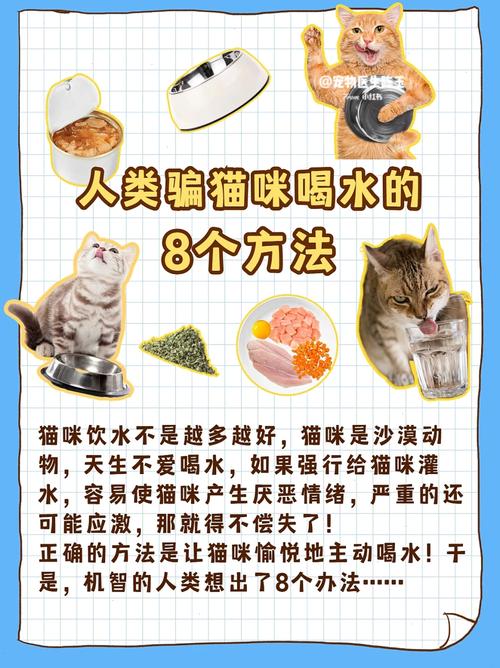 猫咪不喝水怎么办,猫咪不喝水怎么办教你一招搞定-第3张图片-后鲨宠物 猫咪不喝水怎么办,猫咪不喝水怎么办教你一招搞定-第3张图片-后鲨宠物