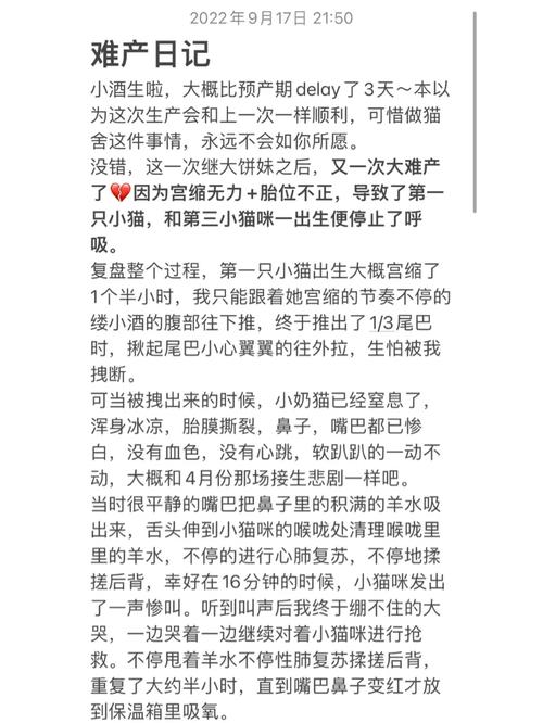 怎么给猫咪助产,如何给猫咪助产-第2张图片-后鲨宠物 怎么给猫咪助产,如何给猫咪助产-第2张图片-后鲨宠物