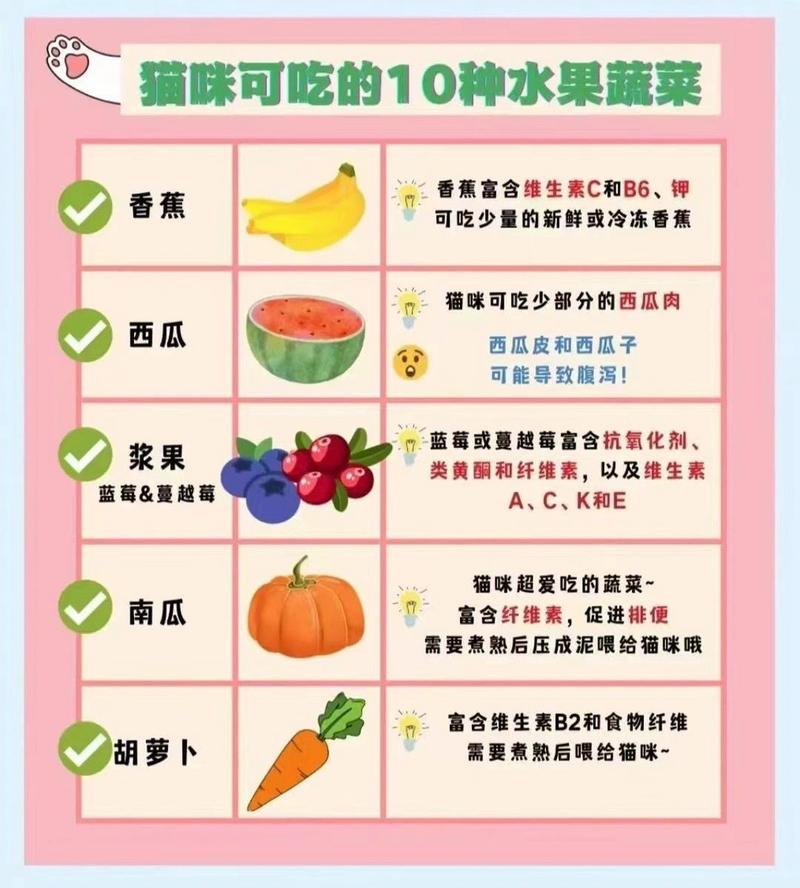  猫咪能吃青菜吗，猫咪可不可以吃青菜