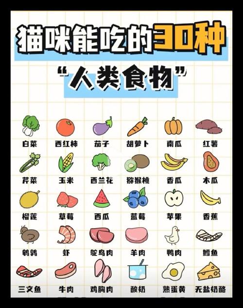 猫咪能吃青菜吗,猫咪可不可以吃青菜-第2张图片-后鲨宠物 猫咪能吃青菜吗,猫咪可不可以吃青菜-第2张图片-后鲨宠物