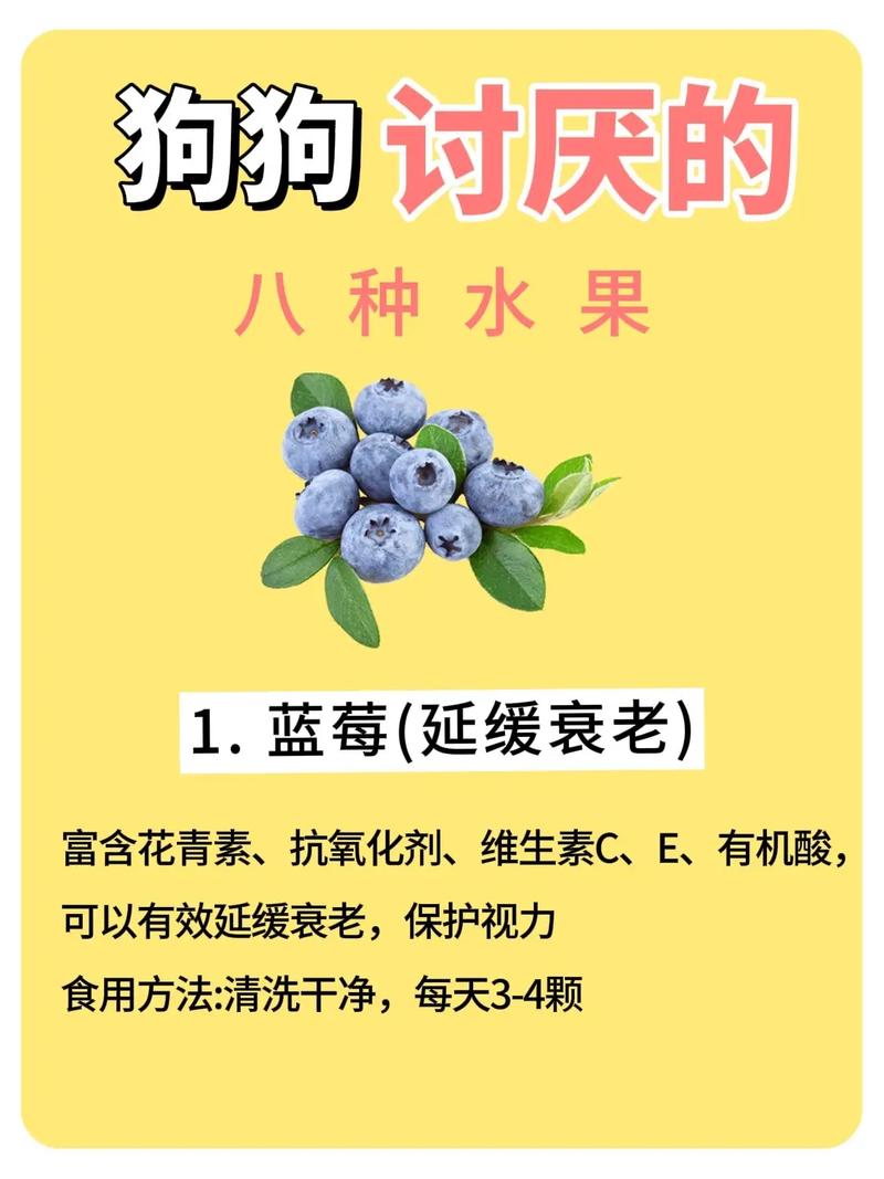 狗狗能吃夏威夷果吗_狗狗能否吃夏威夷果-第3张图片-后鲨宠物 狗狗能吃夏威夷果吗_狗狗能否吃夏威夷果-第3张图片-后鲨宠物