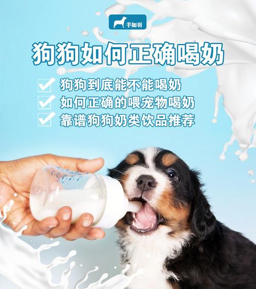 狗狗喝牛奶好吗_狗狗喝牛奶好吗?-第2张图片-后鲨宠物 狗狗喝牛奶好吗_狗狗喝牛奶好吗?-第2张图片-后鲨宠物