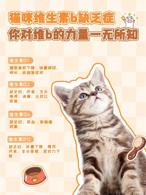 猫咪能吃人吃的维生素b_猫咪能吃人吃的维生素b1吗-第1张图片-后鲨宠物 猫咪能吃人吃的维生素b_猫咪能吃人吃的维生素b1吗-第1张图片-后鲨宠物