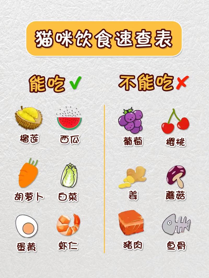 猫咪能吃人吃的维生素b_猫咪能吃人吃的维生素b1吗-第3张图片-后鲨宠物 猫咪能吃人吃的维生素b_猫咪能吃人吃的维生素b1吗-第3张图片-后鲨宠物