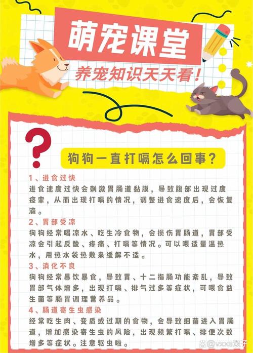 狗狗打嗝怎么治疗方法_狗狗打嗝怎么解决-第3张图片-后鲨宠物 狗狗打嗝怎么治疗方法_狗狗打嗝怎么解决-第3张图片-后鲨宠物