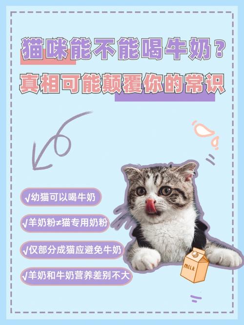 猫咪能喝牛奶吗_猫咪能喝牛奶吗能吃酸奶吗-第3张图片-后鲨宠物 猫咪能喝牛奶吗_猫咪能喝牛奶吗能吃酸奶吗-第3张图片-后鲨宠物
