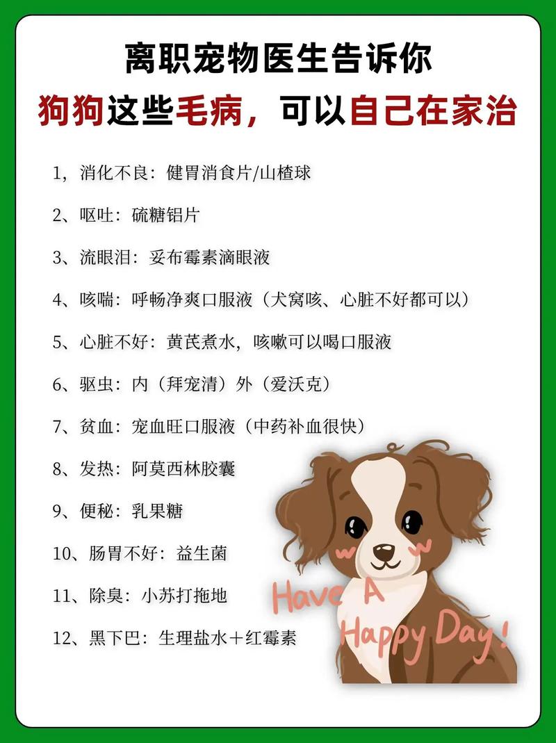 狗狗肠胃炎打针多少钱,狗狗肠胃炎打针要多少钱-第5张图片-后鲨宠物 狗狗肠胃炎打针多少钱,狗狗肠胃炎打针要多少钱-第5张图片-后鲨宠物