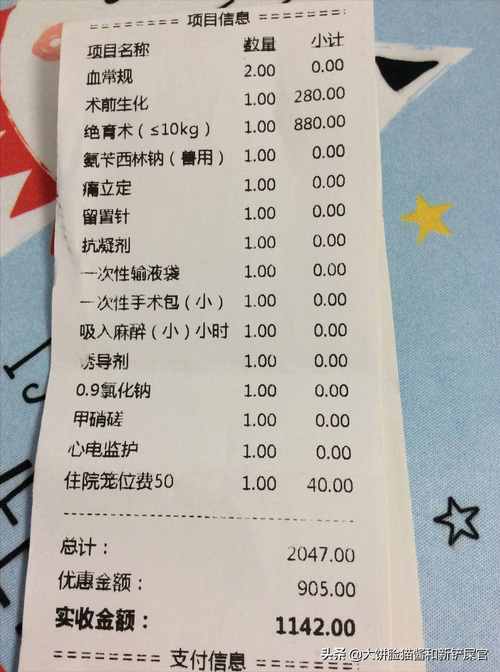 给猫咪做绝育多少钱，给猫咪做绝育多少钱公猫？