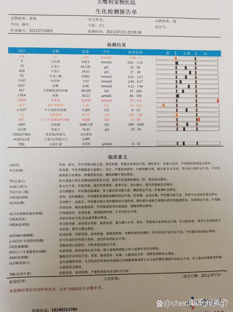 给猫咪做绝育多少钱,给猫咪做绝育多少钱公猫?-第2张图片-后鲨宠物 给猫咪做绝育多少钱,给猫咪做绝育多少钱公猫?-第2张图片-后鲨宠物