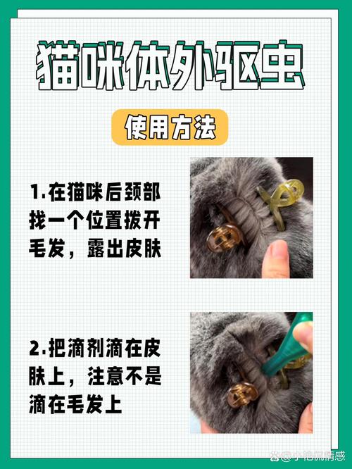 猫咪两个月可以驱虫吗_猫咪两个月大可以驱虫吗-第2张图片-后鲨宠物