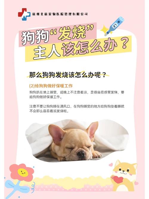 狗狗发烧打什么针，狗狗发烧打什么针好得快一点？