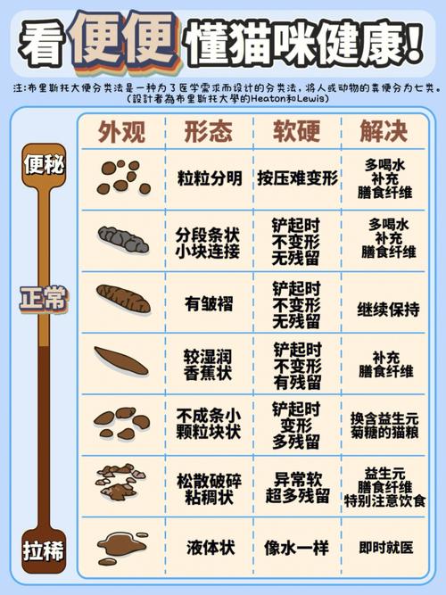 猫咪拉稀了怎么办,两个月的猫咪拉稀了怎么办-第4张图片-后鲨宠物 猫咪拉稀了怎么办,两个月的猫咪拉稀了怎么办-第4张图片-后鲨宠物