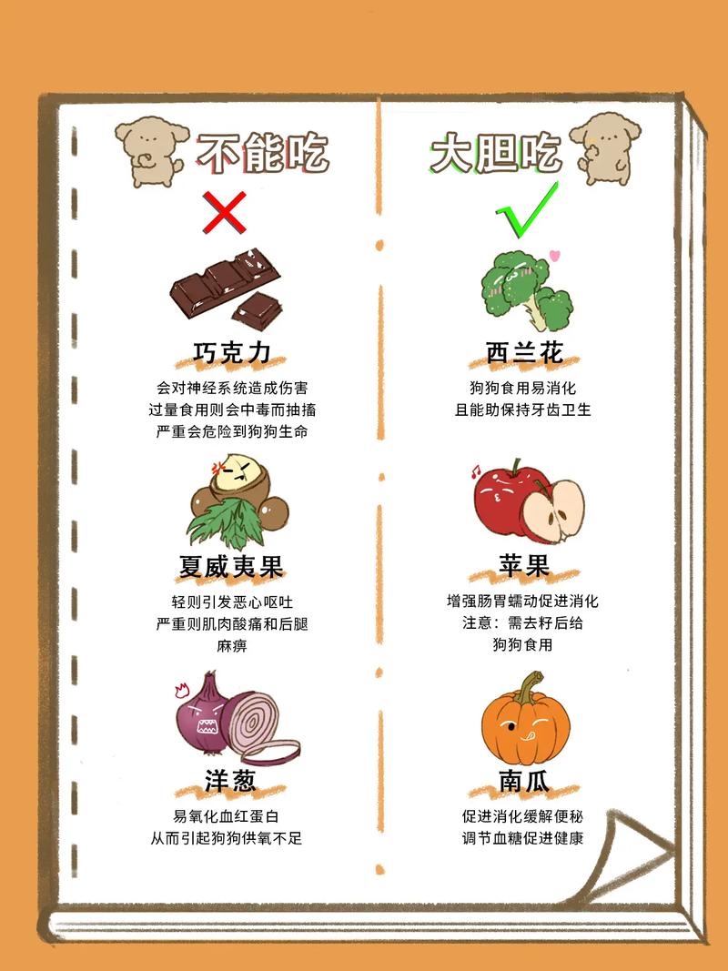 狗狗不愿意吃饭怎么办,狗不肯吃饭怎么回事?-第4张图片-后鲨宠物 狗狗不愿意吃饭怎么办,狗不肯吃饭怎么回事?-第4张图片-后鲨宠物