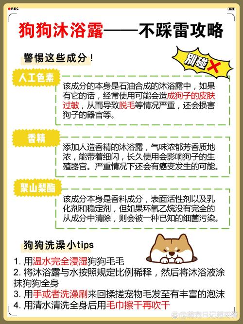 用什么给狗狗洗澡,用什么给狗狗洗澡可以止痒?-第4张图片-后鲨宠物 用什么给狗狗洗澡,用什么给狗狗洗澡可以止痒?-第4张图片-后鲨宠物