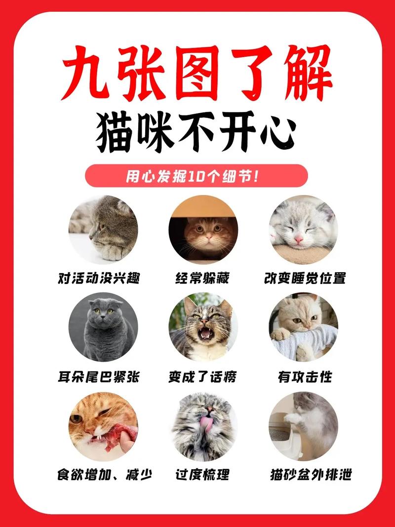 猫咪难过的表现，猫咪难过的表现有哪些？