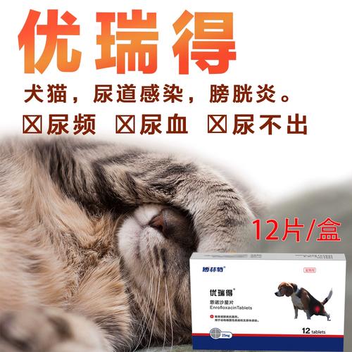 猫咪膀胱炎怎么治疗,猫咪膀胱炎尿血怎么治疗-第4张图片-后鲨宠物 猫咪膀胱炎怎么治疗,猫咪膀胱炎尿血怎么治疗-第4张图片-后鲨宠物