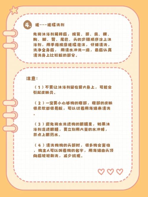 给狗狗洗澡注意什么，给狗洗澡需要准备些什么东西？