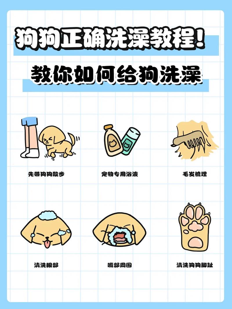 给狗狗洗澡注意什么,给狗洗澡需要准备些什么东西?-第2张图片-后鲨宠物 给狗狗洗澡注意什么,给狗洗澡需要准备些什么东西?-第2张图片-后鲨宠物