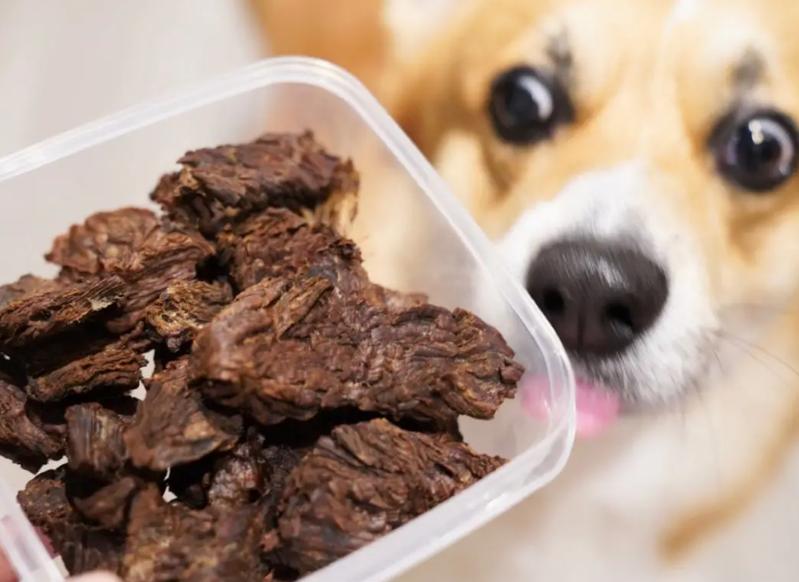  狗狗可以吃山楂条吗，狗狗可以吃山楂条么