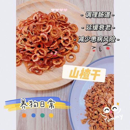 狗狗可以吃山楂条吗,狗狗可以吃山楂条么-第5张图片-后鲨宠物 狗狗可以吃山楂条吗,狗狗可以吃山楂条么-第5张图片-后鲨宠物