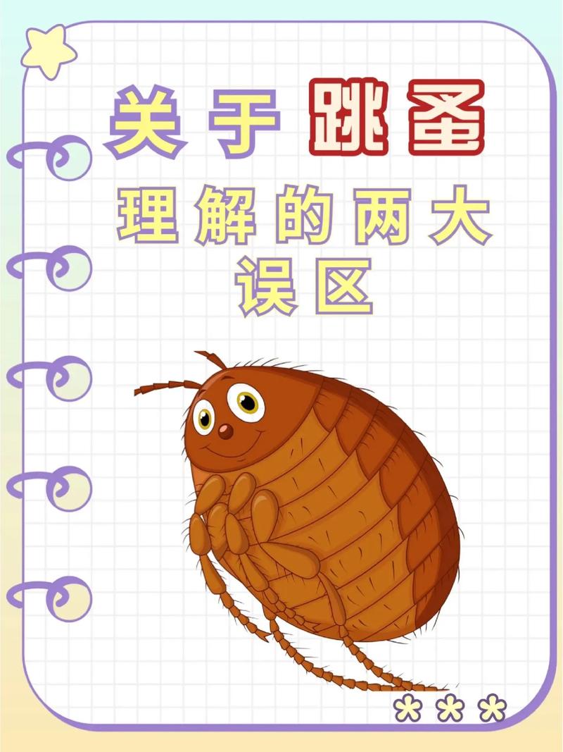 怎么给猫咪除跳蚤_宠物猫怎么除跳蚤-第2张图片-后鲨宠物 怎么给猫咪除跳蚤_宠物猫怎么除跳蚤-第2张图片-后鲨宠物