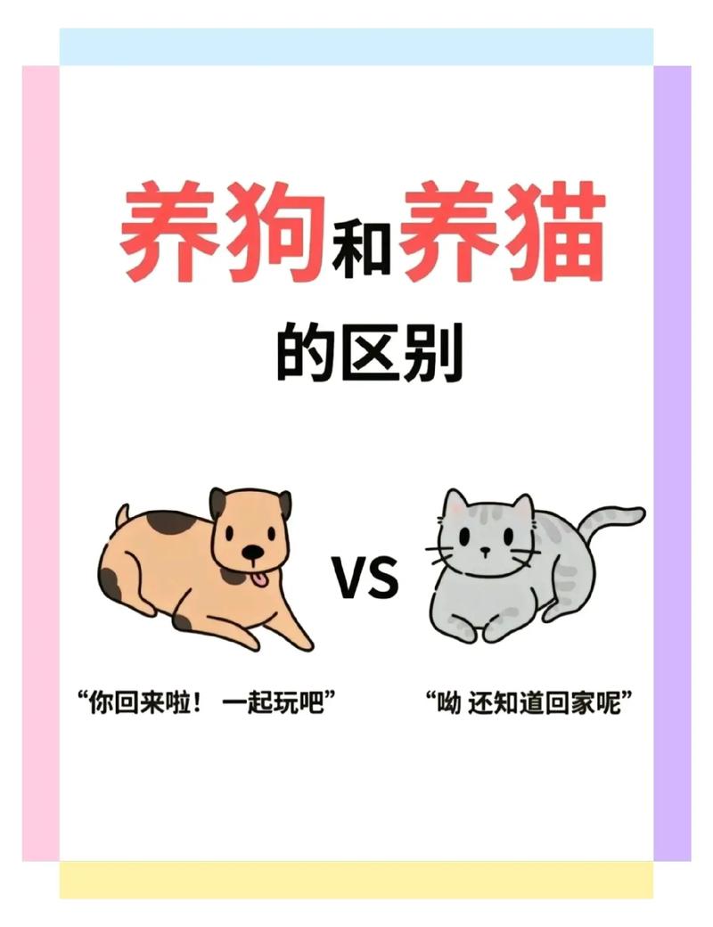 猫咪需要同伴吗,猫咪到底需不需要伙伴-第2张图片-后鲨宠物 猫咪需要同伴吗,猫咪到底需不需要伙伴-第2张图片-后鲨宠物