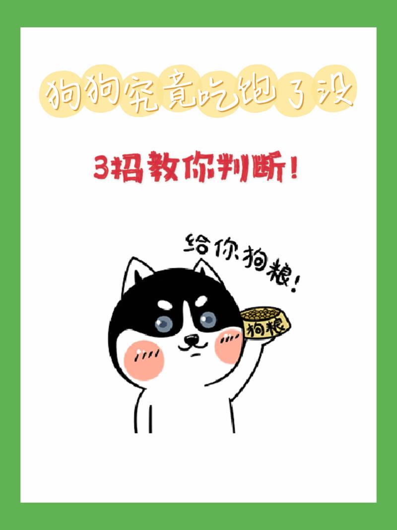  狗狗吃撑了怎么办，狗狗这几天不怎么吃饭怎么回事-第1张图片-后鲨宠物