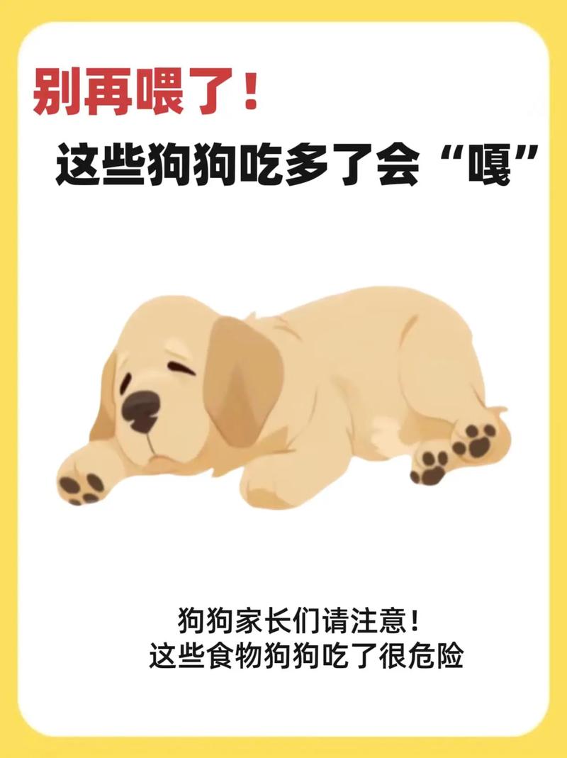 狗狗吃撑了怎么办，狗狗这几天不怎么吃饭怎么回事-第5张图片-后鲨宠物