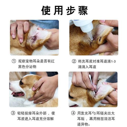猫咪洗耳液怎么用,猫咪洗耳液用多少-第2张图片-后鲨宠物 猫咪洗耳液怎么用,猫咪洗耳液用多少-第2张图片-后鲨宠物