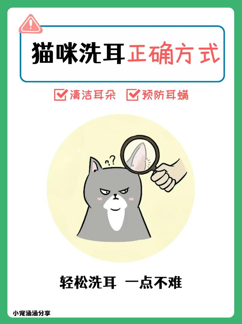 猫咪洗耳液怎么用,猫咪洗耳液用多少-第6张图片-后鲨宠物 猫咪洗耳液怎么用,猫咪洗耳液用多少-第6张图片-后鲨宠物