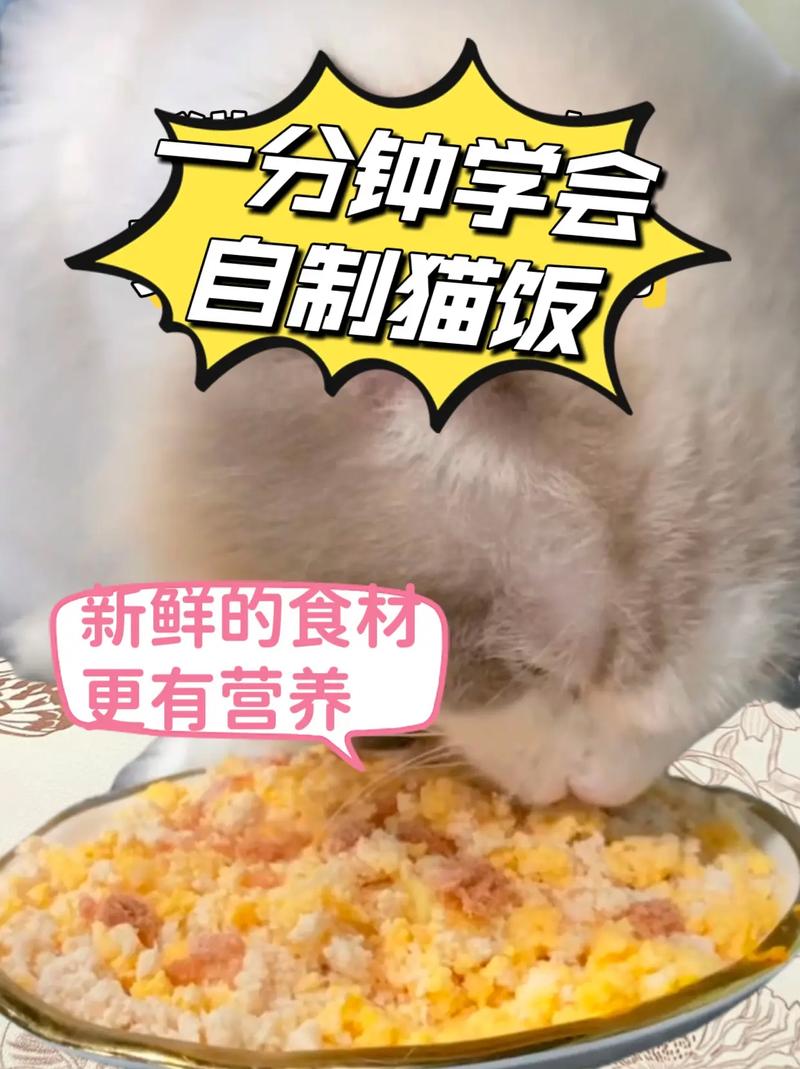 猫咪能吃咖喱吗,猫咪可以吃咖喱鸡吗?-第6张图片-后鲨宠物 猫咪能吃咖喱吗,猫咪可以吃咖喱鸡吗?-第6张图片-后鲨宠物