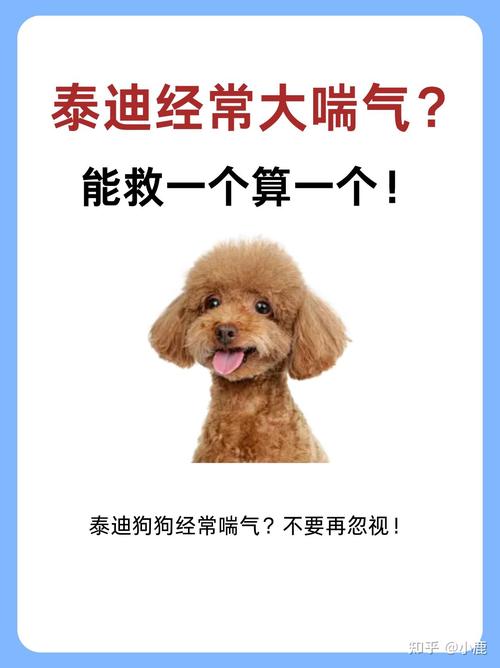 狗狗大喘气多久能生产,狗狗喘粗气多久生产-第2张图片-后鲨宠物 狗狗大喘气多久能生产,狗狗喘粗气多久生产-第2张图片-后鲨宠物