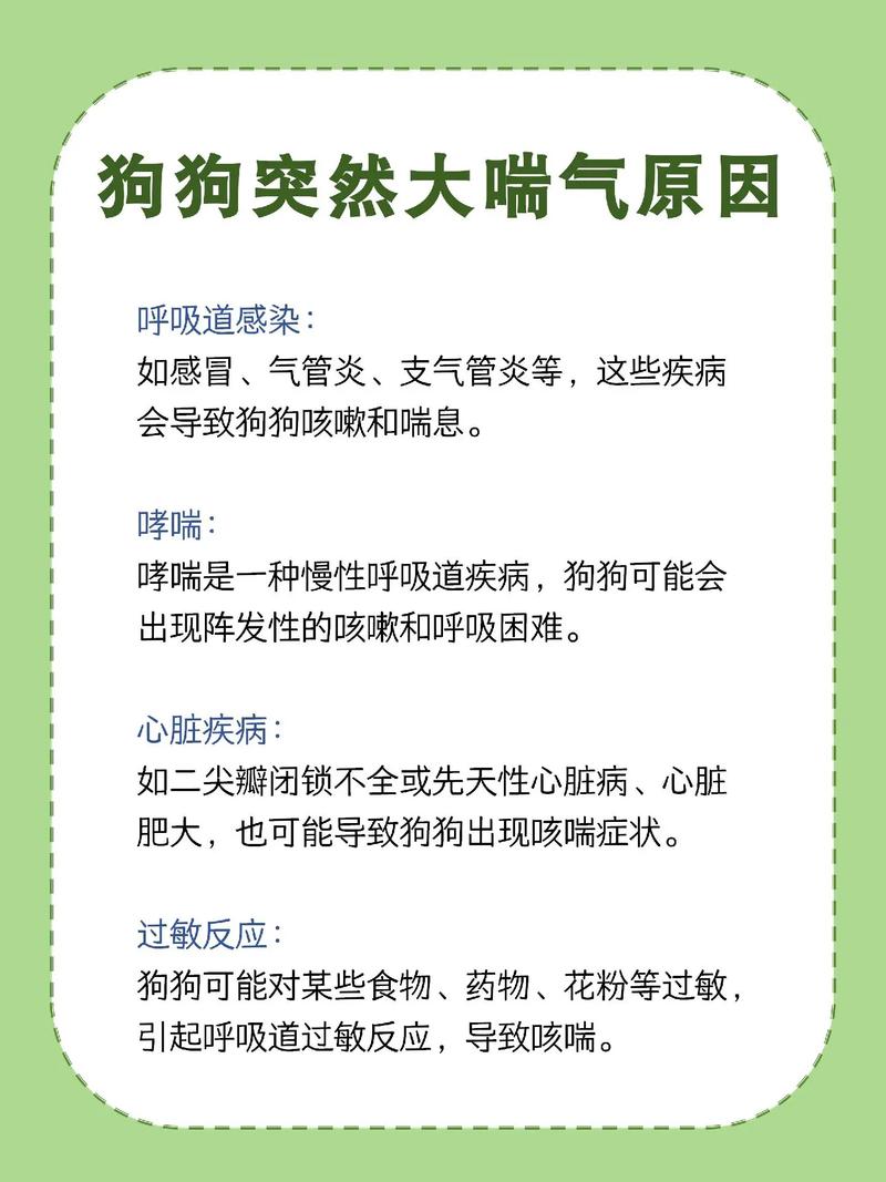 狗狗大喘气多久能生产,狗狗喘粗气多久生产-第3张图片-后鲨宠物 狗狗大喘气多久能生产,狗狗喘粗气多久生产-第3张图片-后鲨宠物