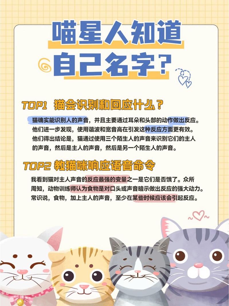 宠物猫咪名字大全可爱_宠物猫咪名字大全可爱女-第2张图片-后鲨宠物 宠物猫咪名字大全可爱_宠物猫咪名字大全可爱女-第2张图片-后鲨宠物