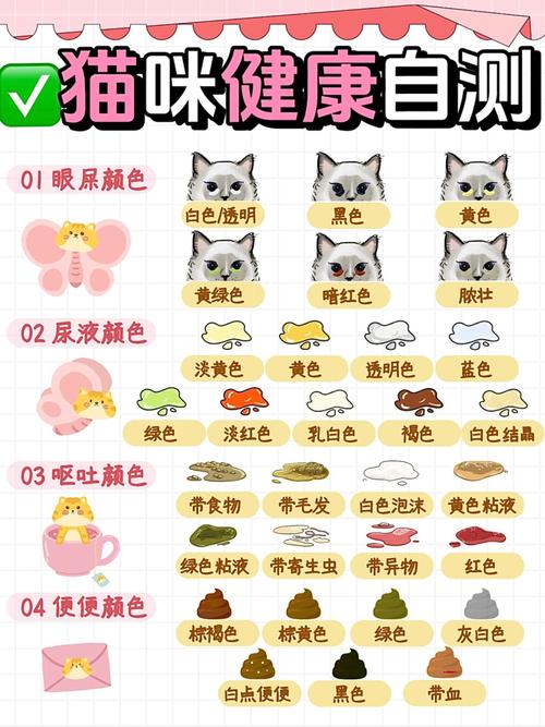 怎么看猫咪健不健康，怎么样看猫健不健康？