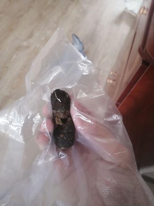 猫咪拉白色的屎,猫咪拉白色的屎肛门外翻怎么回事-第2张图片-后鲨宠物 猫咪拉白色的屎,猫咪拉白色的屎肛门外翻怎么回事-第2张图片-后鲨宠物