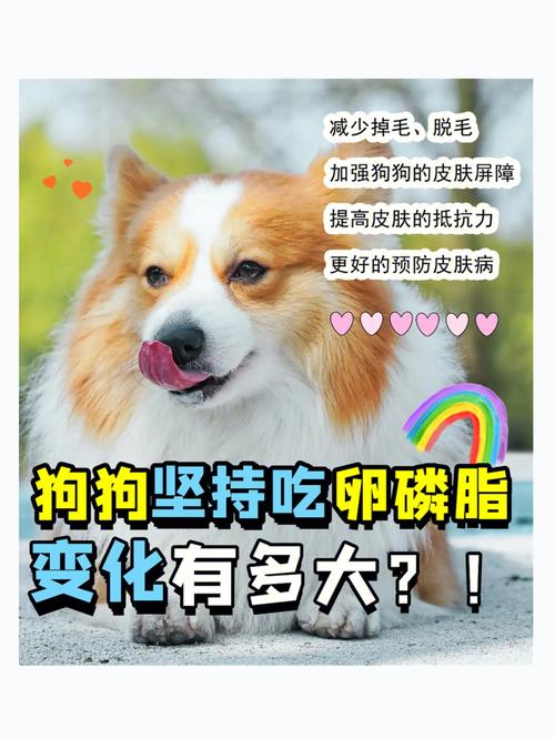 狗狗多大可以吃卵磷脂,狗狗多大就可以吃卵磷脂-第4张图片-后鲨宠物 狗狗多大可以吃卵磷脂,狗狗多大就可以吃卵磷脂-第4张图片-后鲨宠物