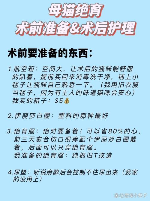猫咪绝育前后注意事项,猫咪绝育前后注意事项是什么?-第2张图片-后鲨宠物 猫咪绝育前后注意事项,猫咪绝育前后注意事项是什么?-第2张图片-后鲨宠物