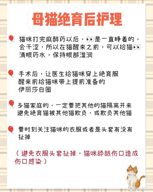猫咪绝育前后注意事项,猫咪绝育前后注意事项是什么?-第3张图片-后鲨宠物 猫咪绝育前后注意事项,猫咪绝育前后注意事项是什么?-第3张图片-后鲨宠物