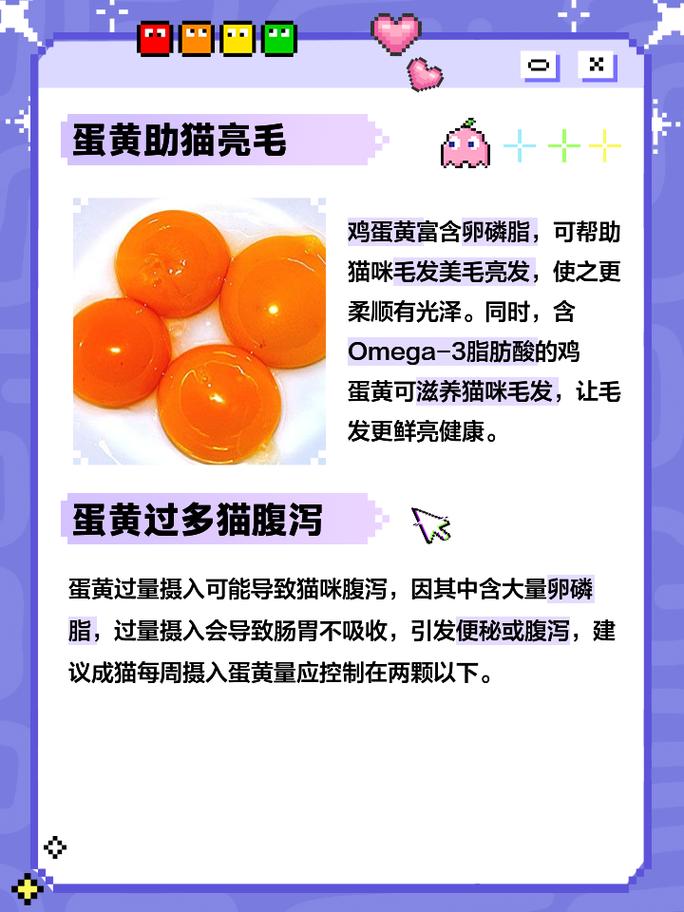 猫猫可以吃蛋黄吗_猫猫可以吃蛋黄吗有营养吗-第3张图片-后鲨宠物 猫猫可以吃蛋黄吗_猫猫可以吃蛋黄吗有营养吗-第3张图片-后鲨宠物