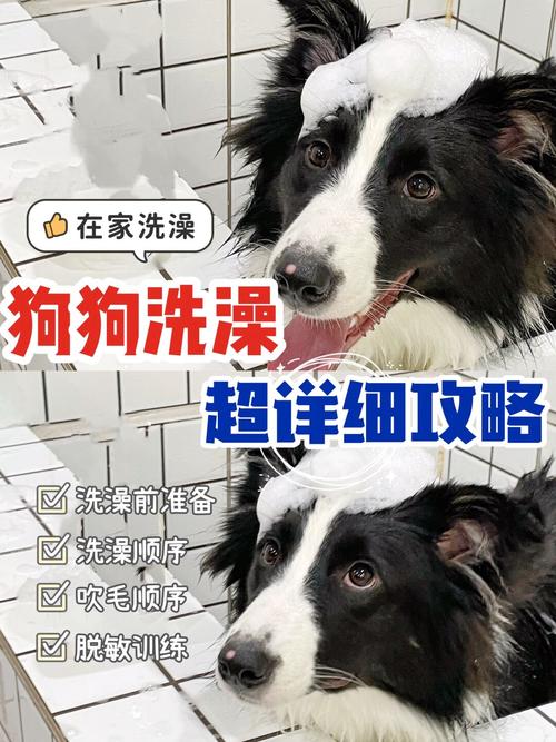 超简单自制狗狗沐浴露，狗用硫磺皂洗澡的好处？